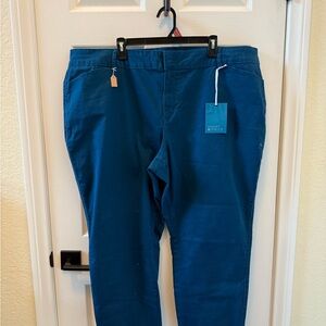 Market & Spruce Blue Women's Pants